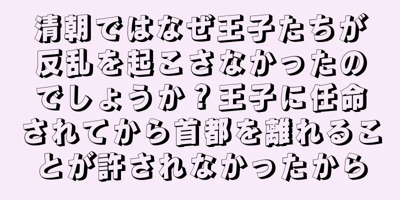 清朝ではなぜ王子たちが反乱を起こさなかったのでしょうか？王子に任命されてから首都を離れることが許されなかったから