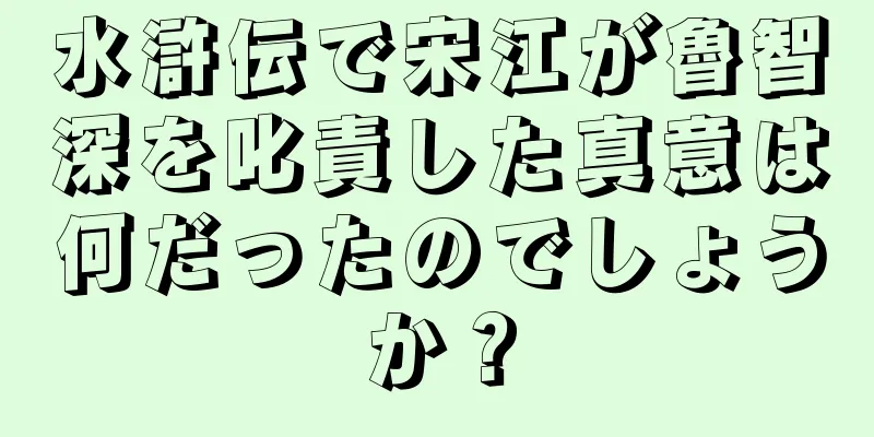 水滸伝で宋江が魯智深を叱責した真意は何だったのでしょうか？