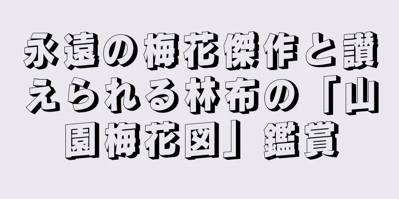 永遠の梅花傑作と讃えられる林布の「山園梅花図」鑑賞