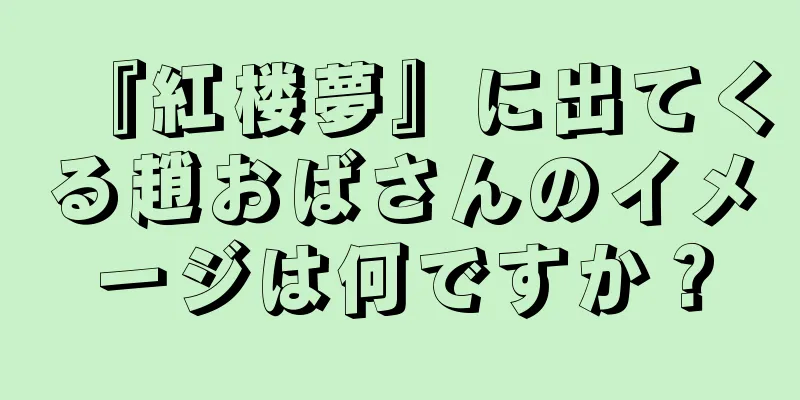 『紅楼夢』に出てくる趙おばさんのイメージは何ですか？