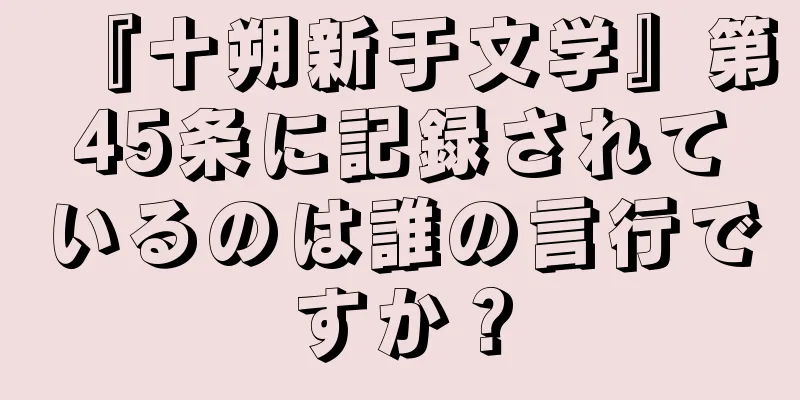 『十朔新于文学』第45条に記録されているのは誰の言行ですか？