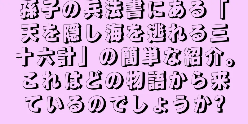孫子の兵法書にある「天を隠し海を逃れる三十六計」の簡単な紹介。これはどの物語から来ているのでしょうか?
