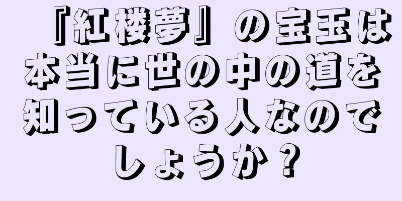 『紅楼夢』の宝玉は本当に世の中の道を知っている人なのでしょうか？