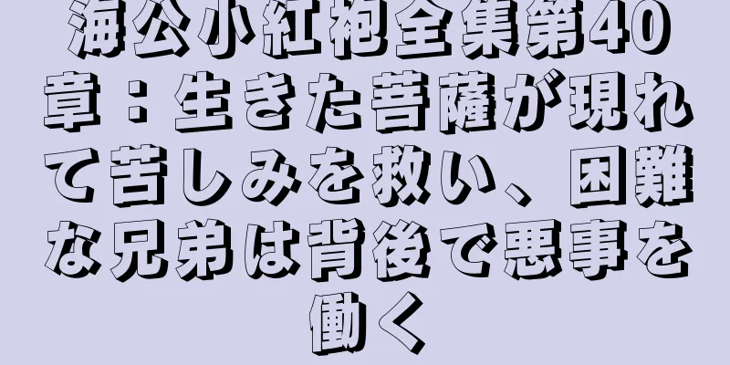 海公小紅袍全集第40章：生きた菩薩が現れて苦しみを救い、困難な兄弟は背後で悪事を働く