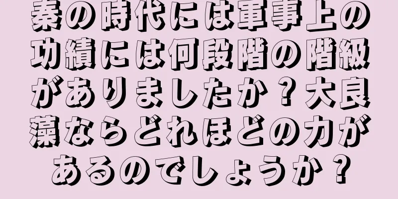 秦の時代には軍事上の功績には何段階の階級がありましたか？大良藻ならどれほどの力があるのでしょうか？