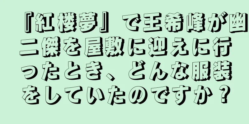 『紅楼夢』で王希峰が幽二傑を屋敷に迎えに行ったとき、どんな服装をしていたのですか？