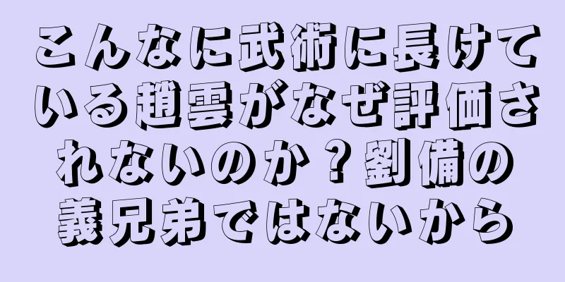 こんなに武術に長けている趙雲がなぜ評価されないのか？劉備の義兄弟ではないから