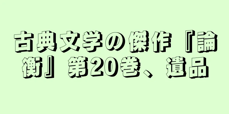 古典文学の傑作『論衡』第20巻、遺品
