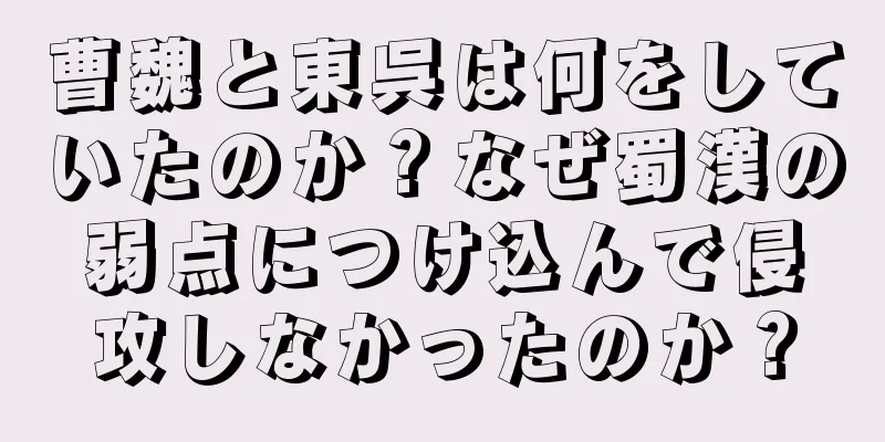 曹魏と東呉は何をしていたのか？なぜ蜀漢の弱点につけ込んで侵攻しなかったのか？
