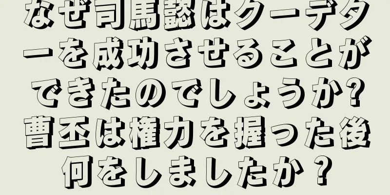 なぜ司馬懿はクーデターを成功させることができたのでしょうか?曹丕は権力を握った後何をしましたか？