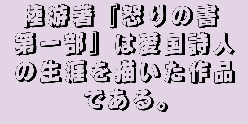 陸游著『怒りの書 第一部』は愛国詩人の生涯を描いた作品である。