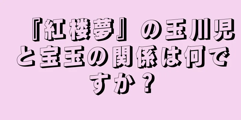 『紅楼夢』の玉川児と宝玉の関係は何ですか？