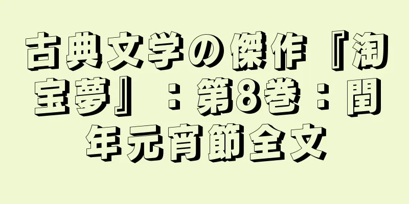 古典文学の傑作『淘宝夢』：第8巻：閏年元宵節全文
