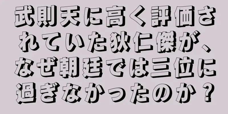 武則天に高く評価されていた狄仁傑が、なぜ朝廷では三位に過ぎなかったのか？
