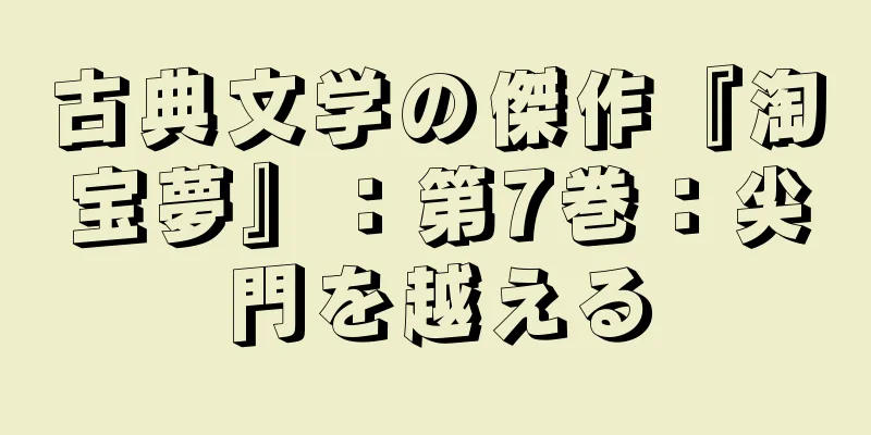 古典文学の傑作『淘宝夢』：第7巻：尖門を越える
