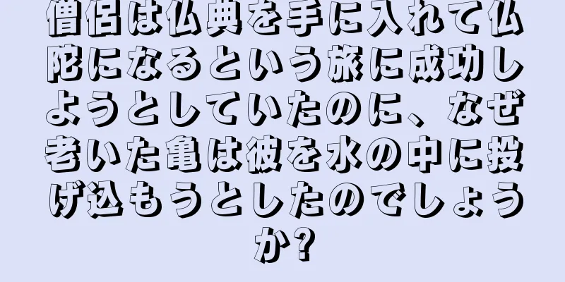 僧侶は仏典を手に入れて仏陀になるという旅に成功しようとしていたのに、なぜ老いた亀は彼を水の中に投げ込もうとしたのでしょうか?