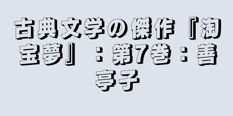 古典文学の傑作『淘宝夢』：第7巻：善亭子