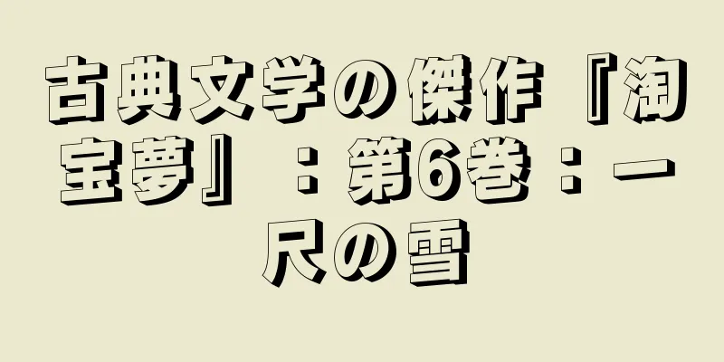 古典文学の傑作『淘宝夢』：第6巻：一尺の雪
