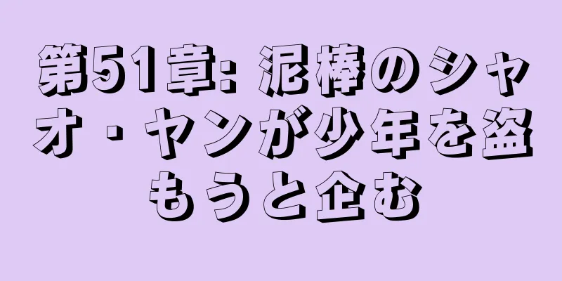 第51章: 泥棒のシャオ・ヤンが少年を盗もうと企む