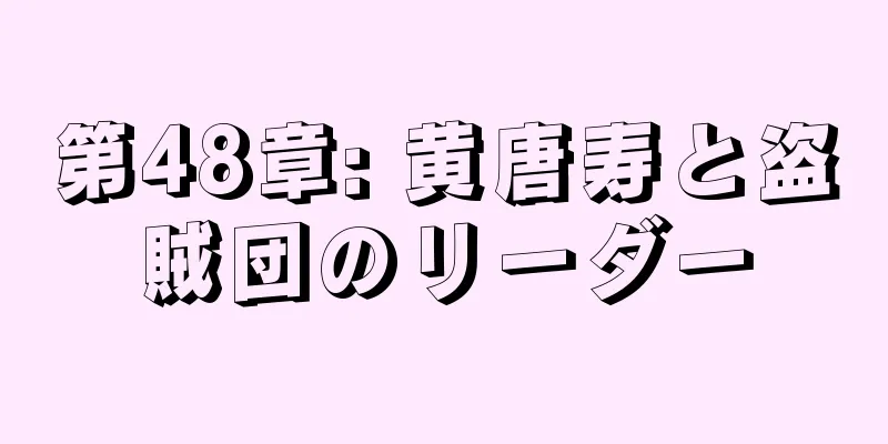 第48章: 黄唐寿と盗賊団のリーダー