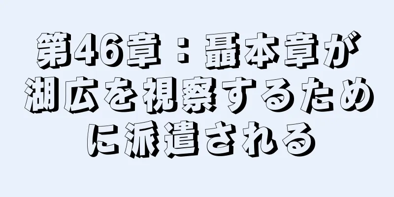 第46章：聶本章が湖広を視察するために派遣される