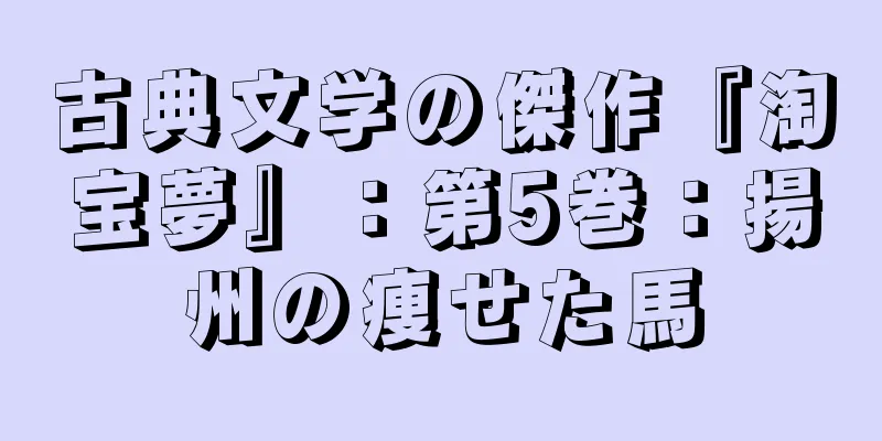 古典文学の傑作『淘宝夢』：第5巻：揚州の痩せた馬