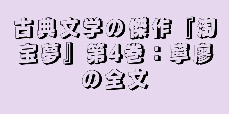 古典文学の傑作『淘宝夢』第4巻：寧廖の全文