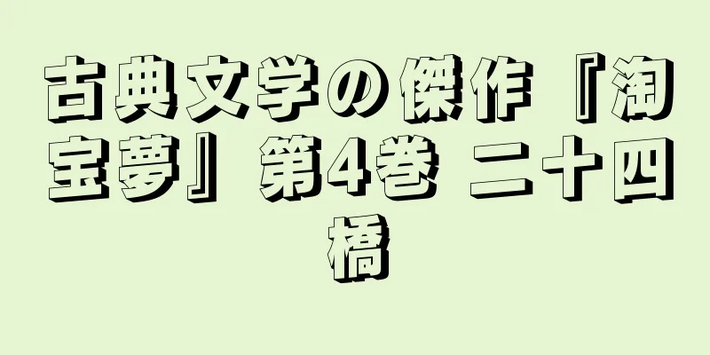 古典文学の傑作『淘宝夢』第4巻 二十四橋