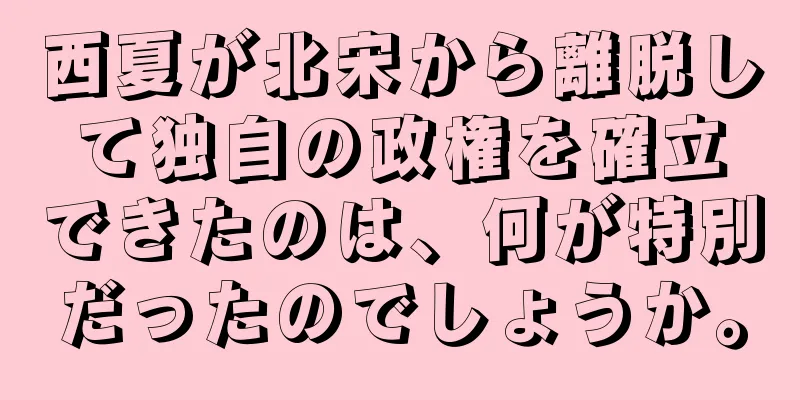 西夏が北宋から離脱して独自の政権を確立できたのは、何が特別だったのでしょうか。