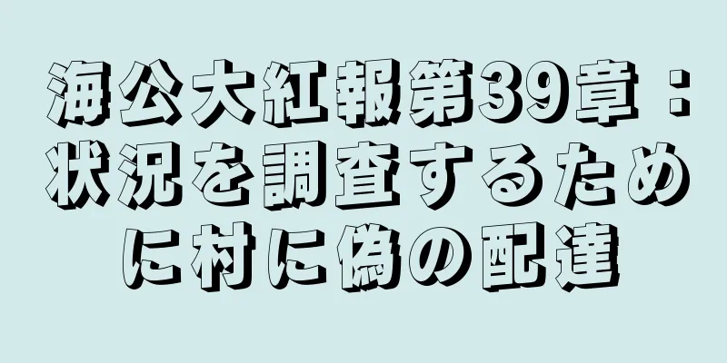 海公大紅報第39章：状況を調査するために村に偽の配達