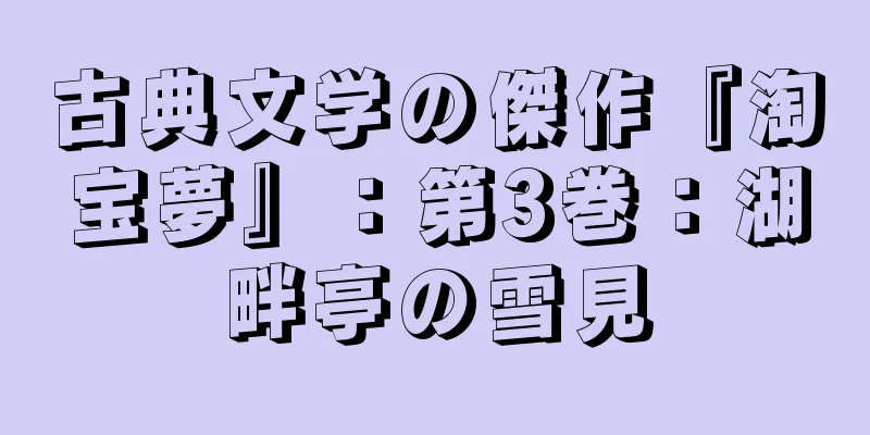 古典文学の傑作『淘宝夢』：第3巻：湖畔亭の雪見