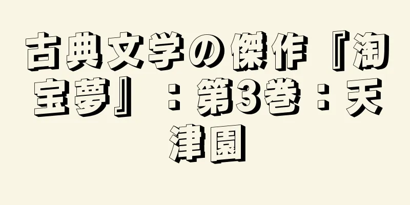 古典文学の傑作『淘宝夢』：第3巻：天津園