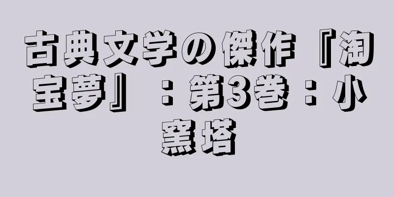 古典文学の傑作『淘宝夢』：第3巻：小窯塔