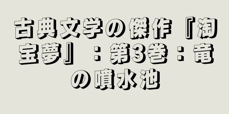 古典文学の傑作『淘宝夢』：第3巻：竜の噴水池