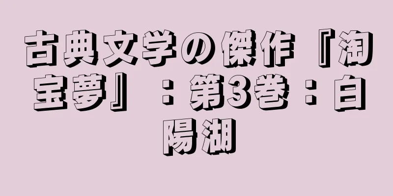 古典文学の傑作『淘宝夢』：第3巻：白陽湖