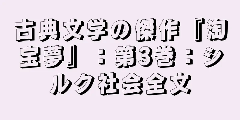古典文学の傑作『淘宝夢』：第3巻：シルク社会全文