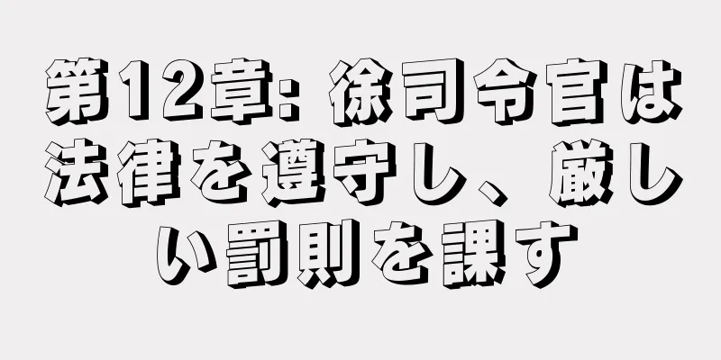 第12章: 徐司令官は法律を遵守し、厳しい罰則を課す