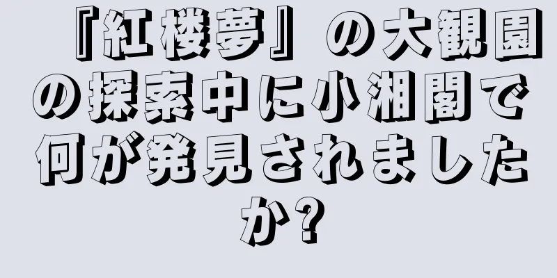 『紅楼夢』の大観園の探索中に小湘閣で何が発見されましたか?