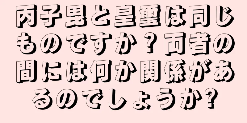 丙子毘と皇璽は同じものですか？両者の間には何か関係があるのでしょうか?