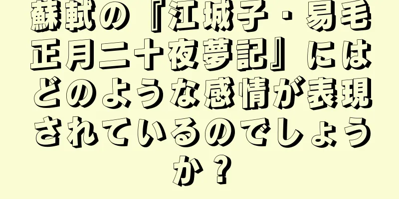 蘇軾の『江城子・易毛正月二十夜夢記』にはどのような感情が表現されているのでしょうか？