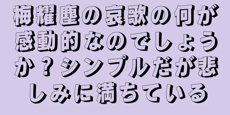 梅耀塵の哀歌の何が感動的なのでしょうか？シンプルだが悲しみに満ちている