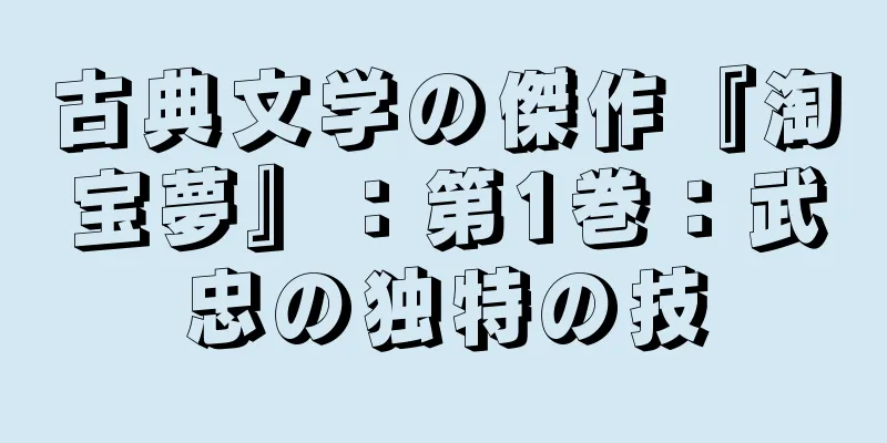 古典文学の傑作『淘宝夢』：第1巻：武忠の独特の技