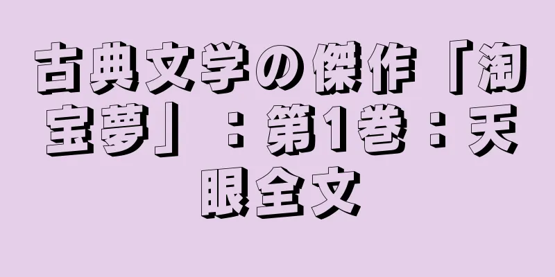 古典文学の傑作「淘宝夢」：第1巻：天眼全文
