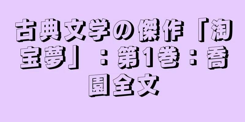 古典文学の傑作「淘宝夢」：第1巻：喬園全文
