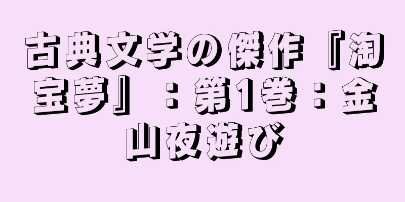 古典文学の傑作『淘宝夢』：第1巻：金山夜遊び