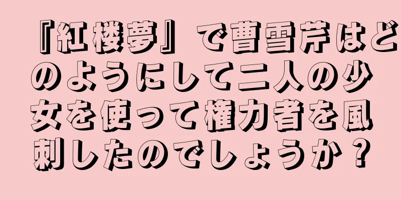 『紅楼夢』で曹雪芹はどのようにして二人の少女を使って権力者を風刺したのでしょうか？