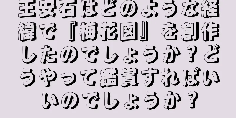 王安石はどのような経緯で『梅花図』を創作したのでしょうか？どうやって鑑賞すればいいのでしょうか？