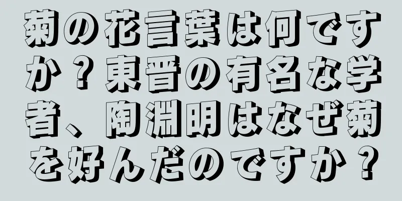 菊の花言葉は何ですか？東晋の有名な学者、陶淵明はなぜ菊を好んだのですか？
