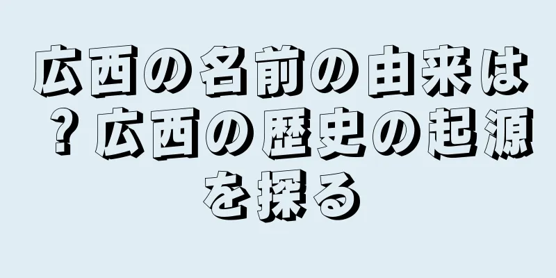 広西の名前の由来は？広西の歴史の起源を探る