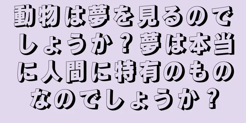 動物は夢を見るのでしょうか？夢は本当に人間に特有のものなのでしょうか？